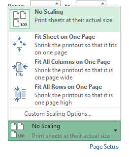 scale print setting excel