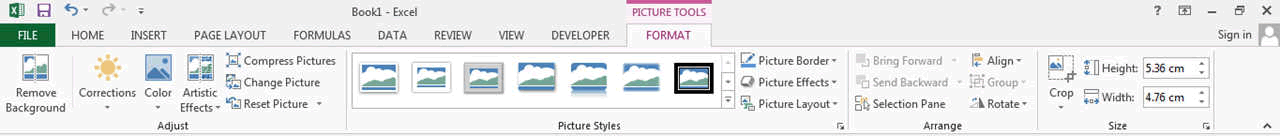 picture tool format