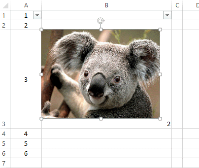 insert picture in excel cell