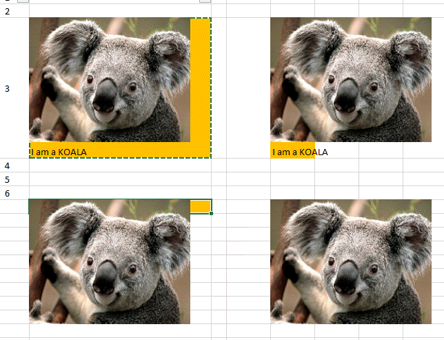 insert picture in excel cell 